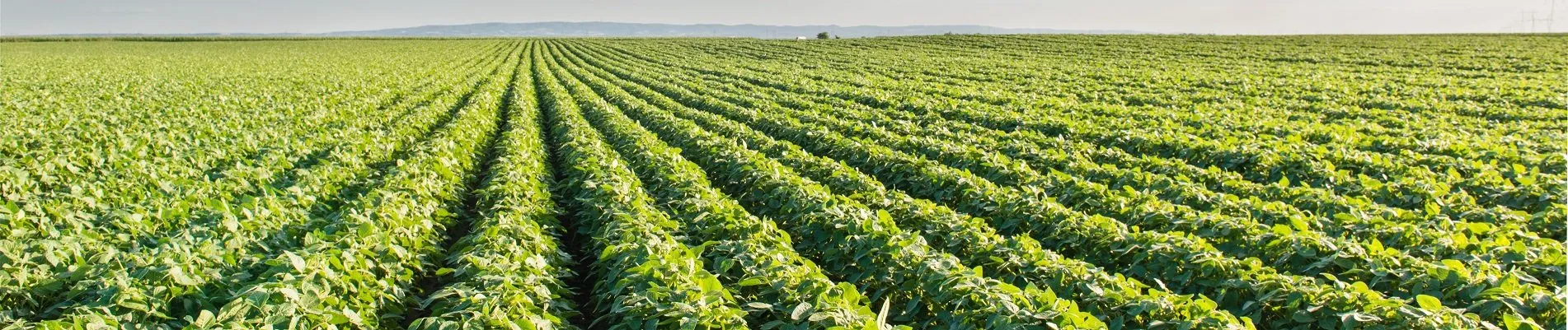 Agri-Food Tech Asia Expo (AFTEA)