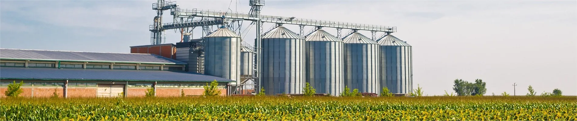 CamboAgrotechFoodtech