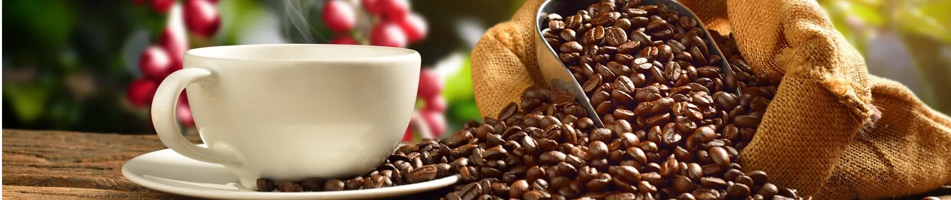 Coffee Europe Expo