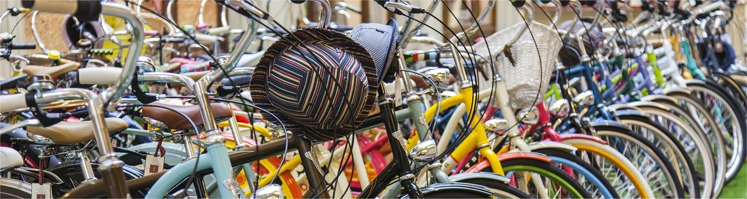 e-bike-days