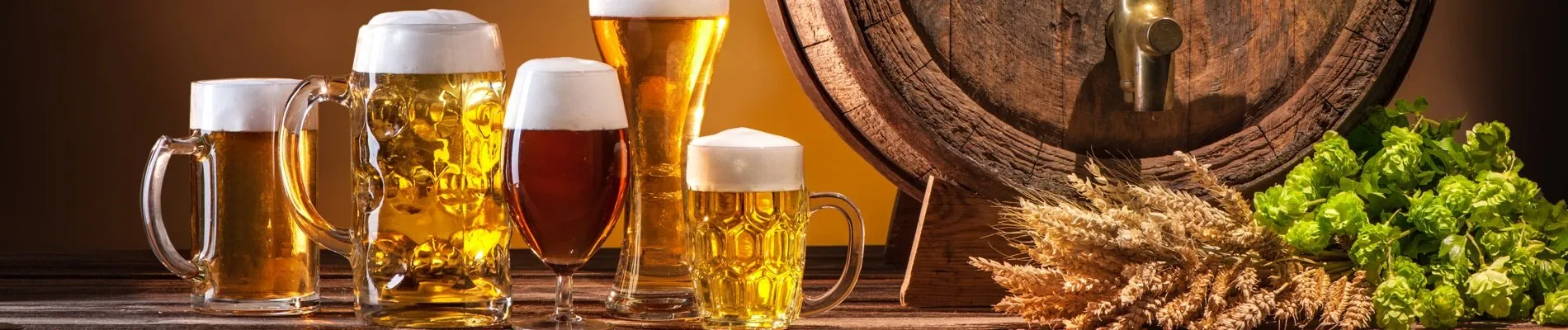 Expo Cerveza México
