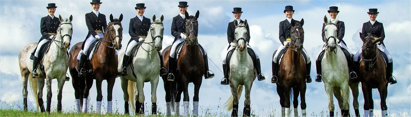 ExpoHorse