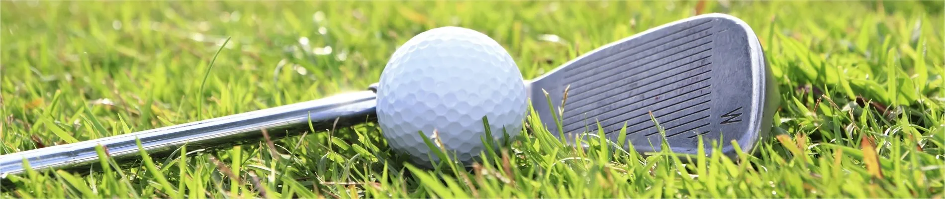 Maekyung SBS GOLF EXPO