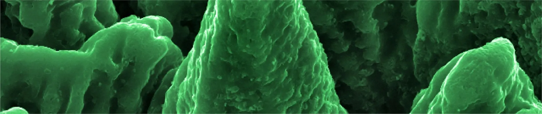 nano tech