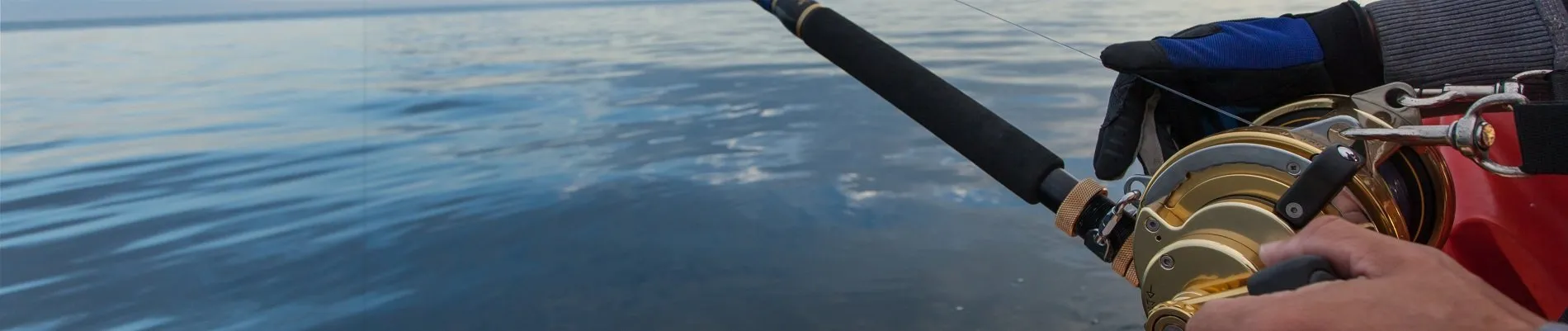 Saltwater Sportfishing Show