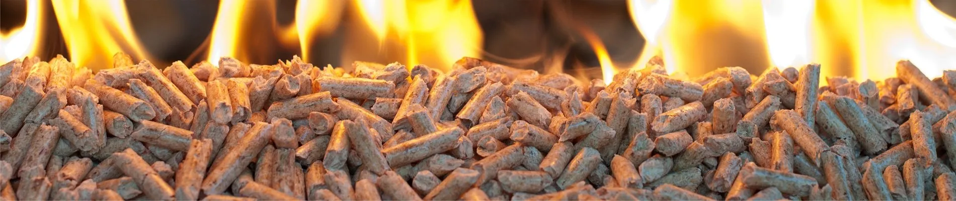 WORLD OF FIREPLACES