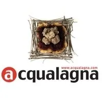 Fiera Nazionale del Tartufo Bianco Logo