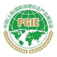 PGIE China Logo