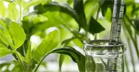 Biyoteknoloji