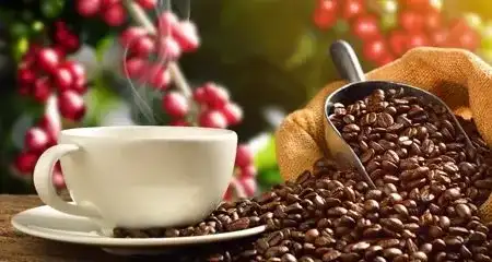 Coffee