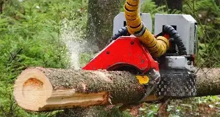 Forestry
